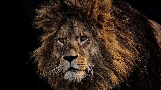 Taming the HGIOS beast